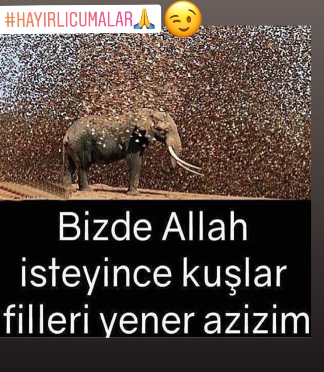 Nurcan