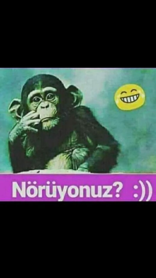 Bekir
