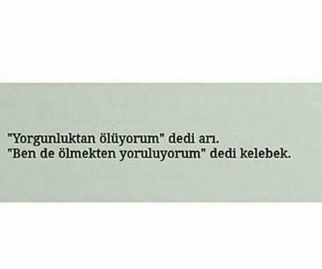 Besna