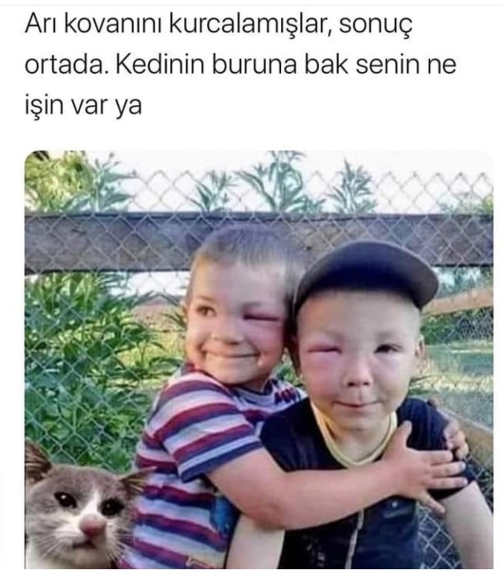Fatih