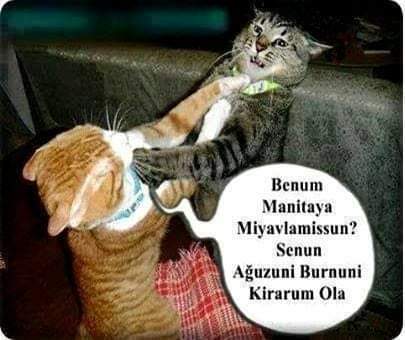 Erkan
