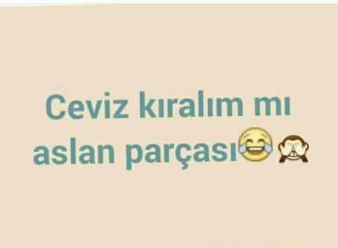 Can