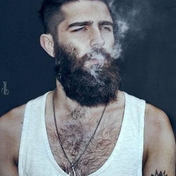 Gezgin