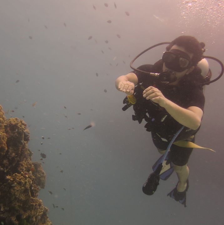 Ujjwal