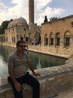 Sedat
