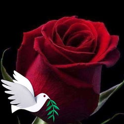 Emel