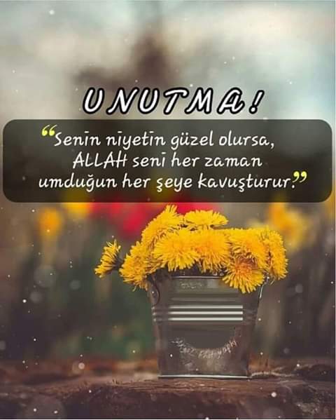Kadir