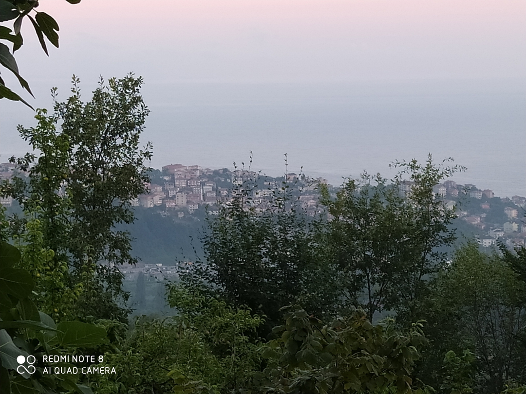Vildan