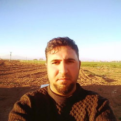 Nevzat