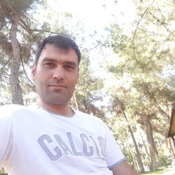 Yener