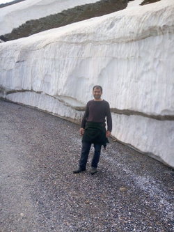 Sedat