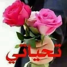 أبوفريد