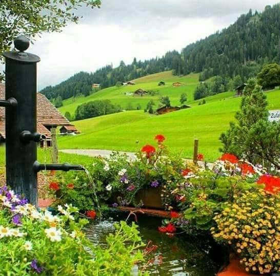 Jurandir