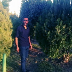 Savaş