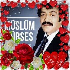 Gürses