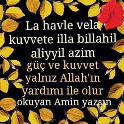Şahin
