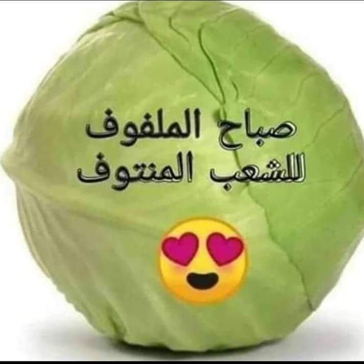 مهند