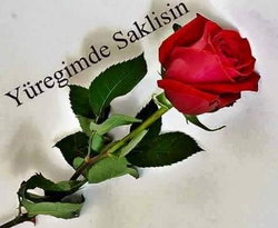 Ayhan