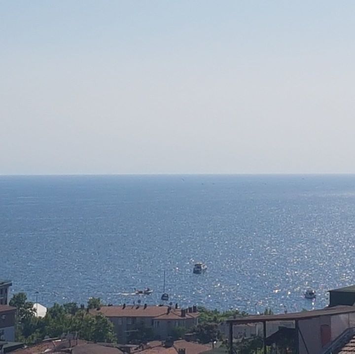Erdem