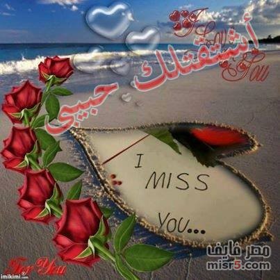 فادي