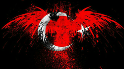 Alper