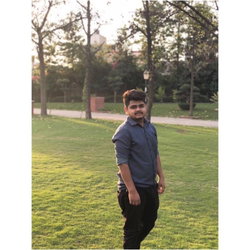 Sajal
