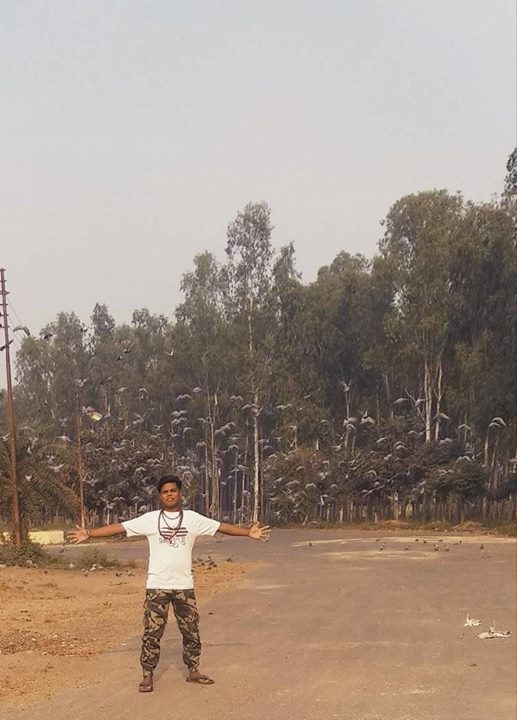 Golu