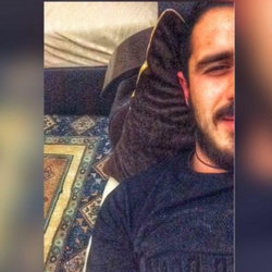 Veysel