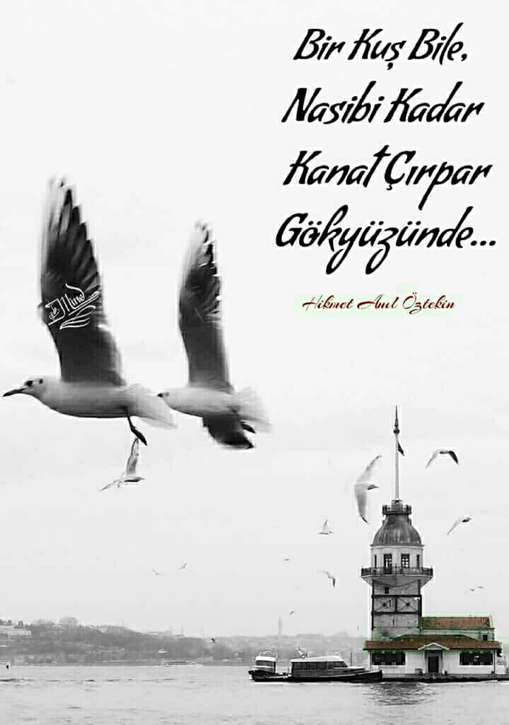 Nermin