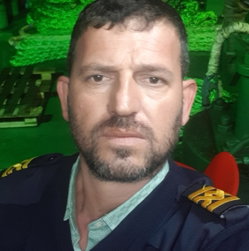 Altın