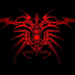 Kadir