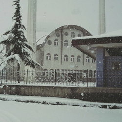 Mehmet
