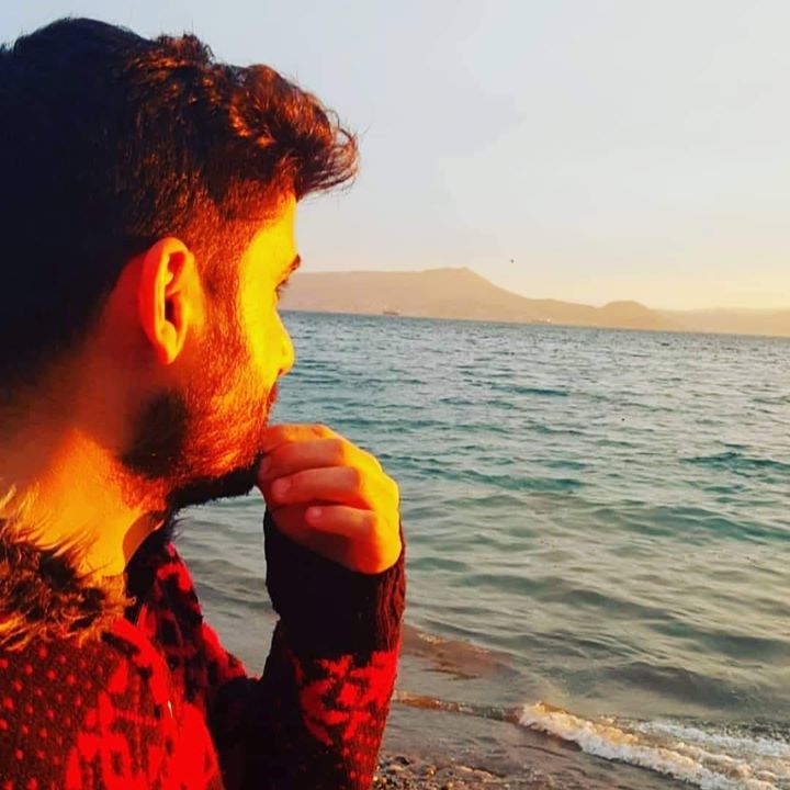 Şahin