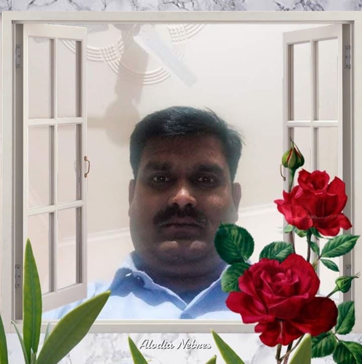 Ravish