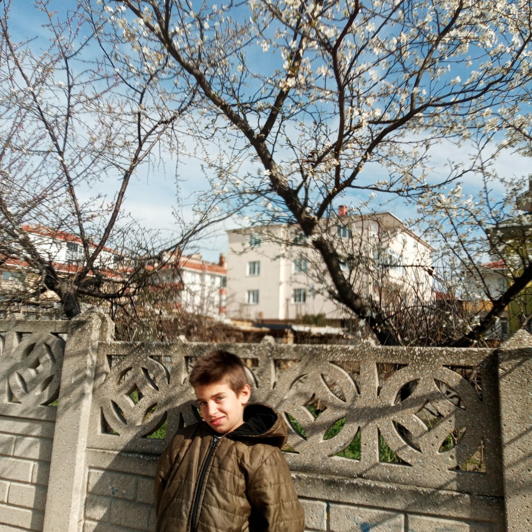 Mert