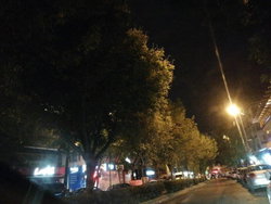 Bulut
