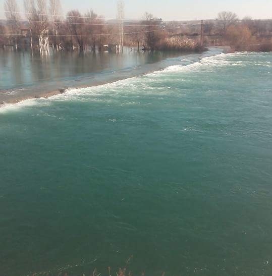 Erol