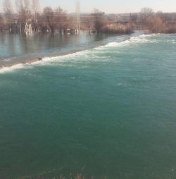 Erol