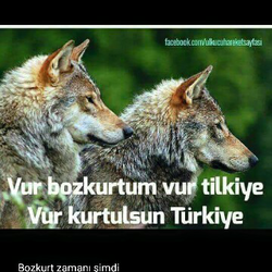 Metin