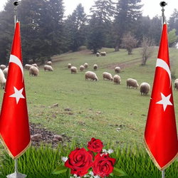Yakakentli