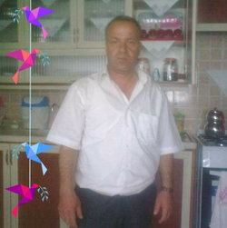 Doğan