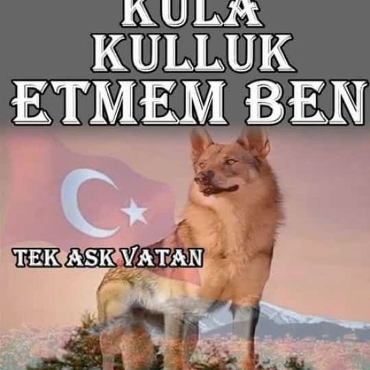 Yusuf