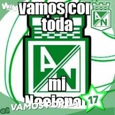 Yamily