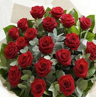 Sibel