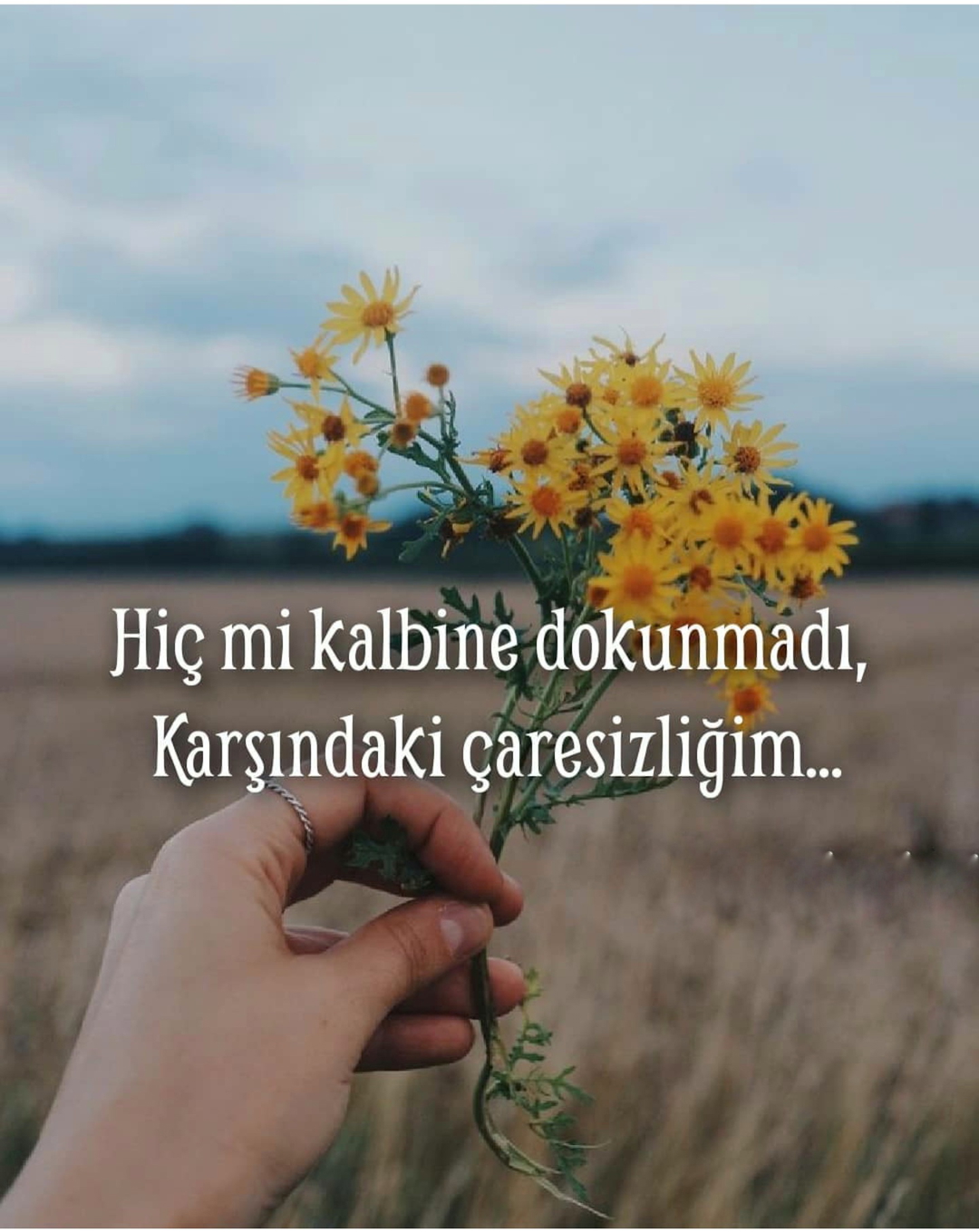 Yade