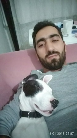 Erdi
