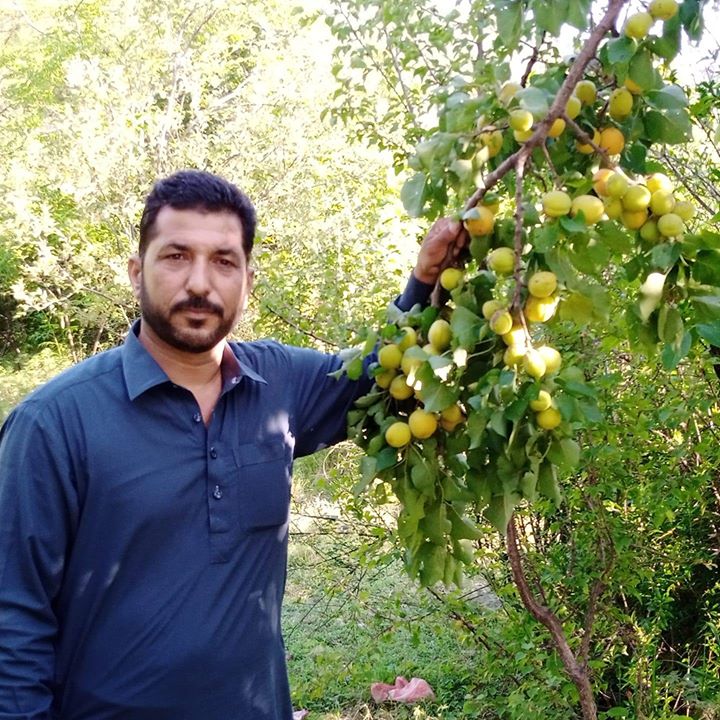 Zahid