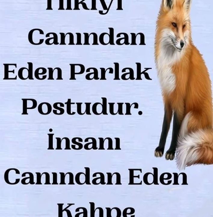 İlhan