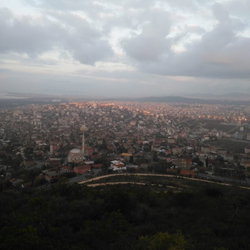 Murat