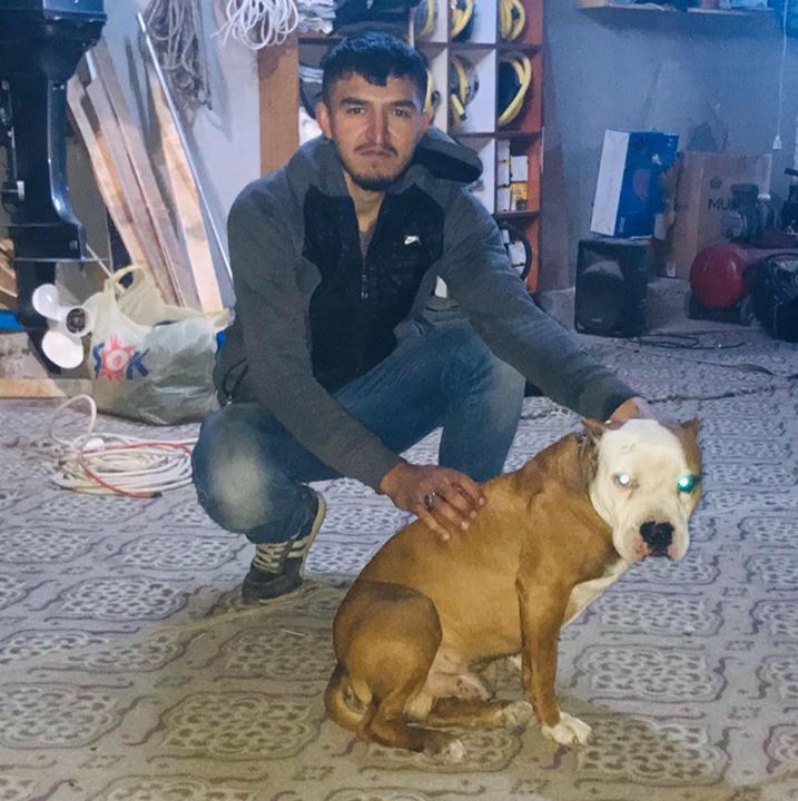 Yavuz